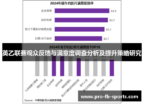 英乙联赛观众反馈与满意度调查分析及提升策略研究