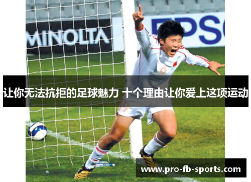 让你无法抗拒的足球魅力 十个理由让你爱上这项运动 让你无法抗拒的足球魅力 十个理由让你爱上这项运动