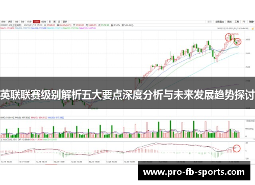 英联联赛级别解析五大要点深度分析与未来发展趋势探讨